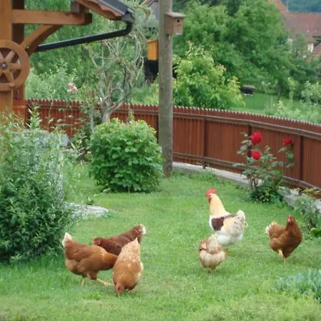 Prenocisca Jezero Apartamento *