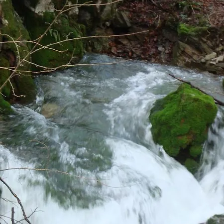 Prenocisca Jezero Gorenje Jezero