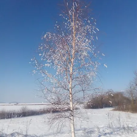 Apartamento Prenocisca Jezero *