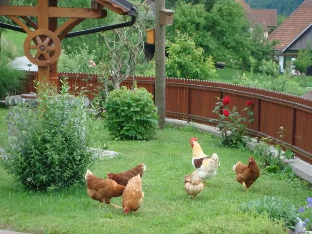 Prenocisca Jezero Lejlighed *