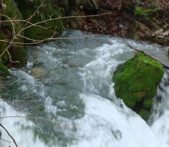 Prenocisca Jezero Gorenje Jezero