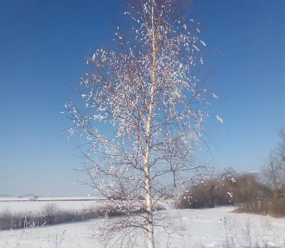 شقة Prenocisca Jezero *